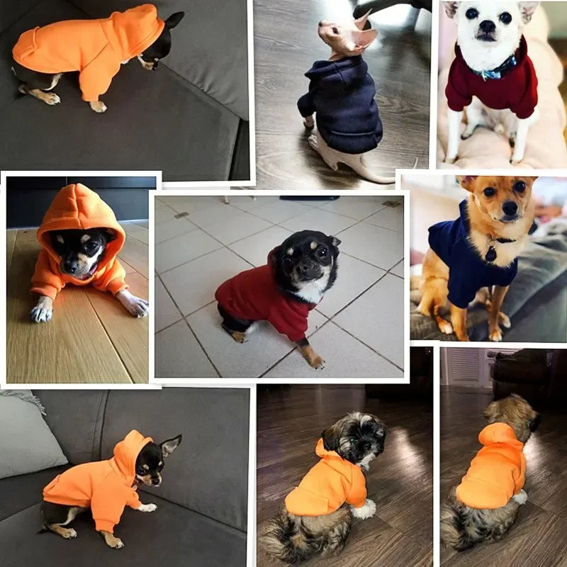 Varm Hundkappa & Hoodie för Små & Stora Hundar – Passar Chihuahua & Valpar
